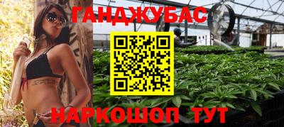 молекула духа Будённовск