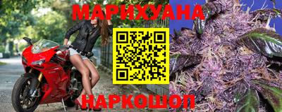 молекула духа Будённовск