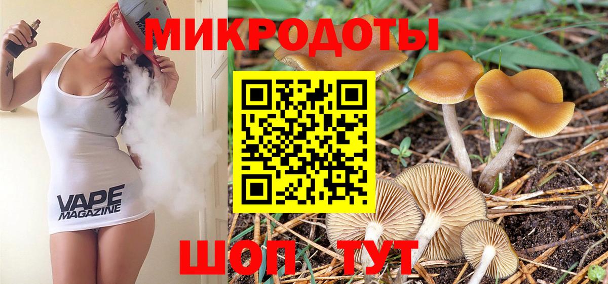 Галлюциногенные грибы GOLDEN TEACHER  дарнет шоп  Псилоцибиновые грибы Psilocybine cubensis  Уфа  Вход с VPN 